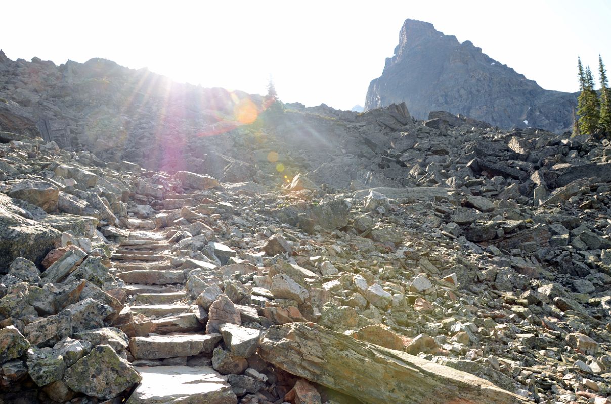 14 Hiking Up Lake Oesa Trail With Mount Huber Behind At Lake O-Hara Morning